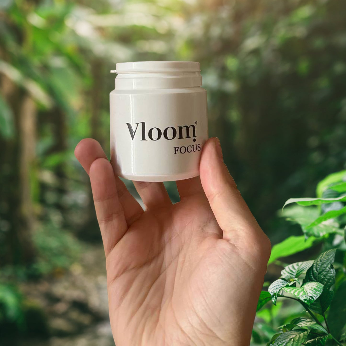 Vloom FOCUS