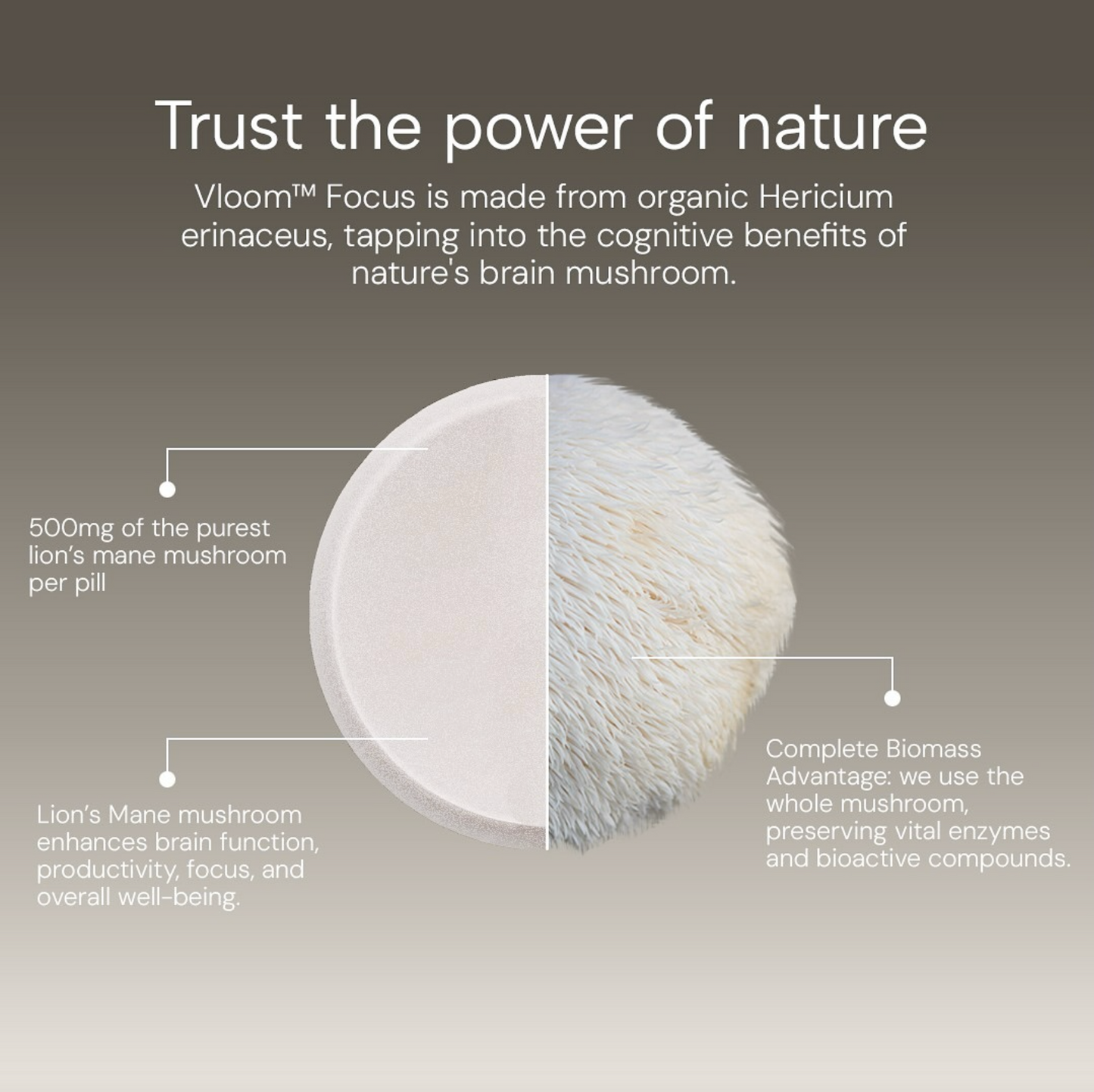 Vloom FOCUS